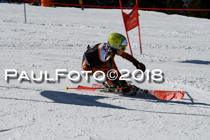 Ziener Cup WF, Finale, Quali + Parallelslalom, 24.03.2018