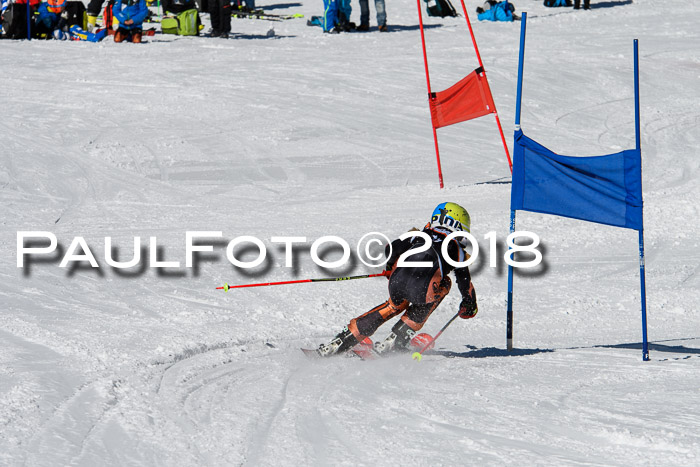 Ziener Cup WF, Finale, Quali + Parallelslalom, 24.03.2018