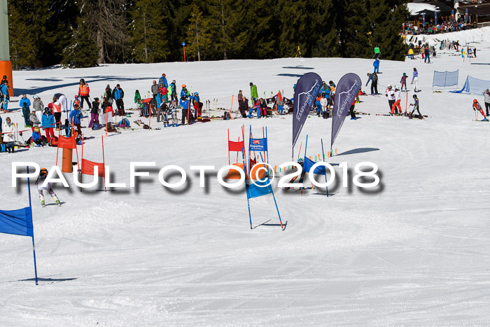 Ziener Cup WF, Finale, Quali + Parallelslalom, 24.03.2018