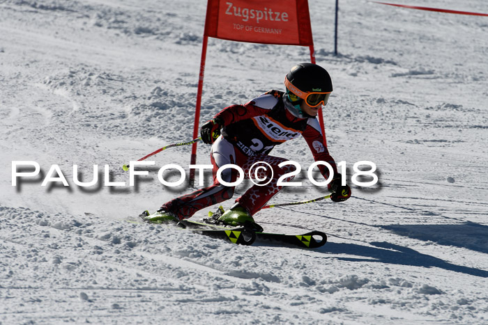 Ziener Cup WF, Finale, Quali + Parallelslalom, 24.03.2018