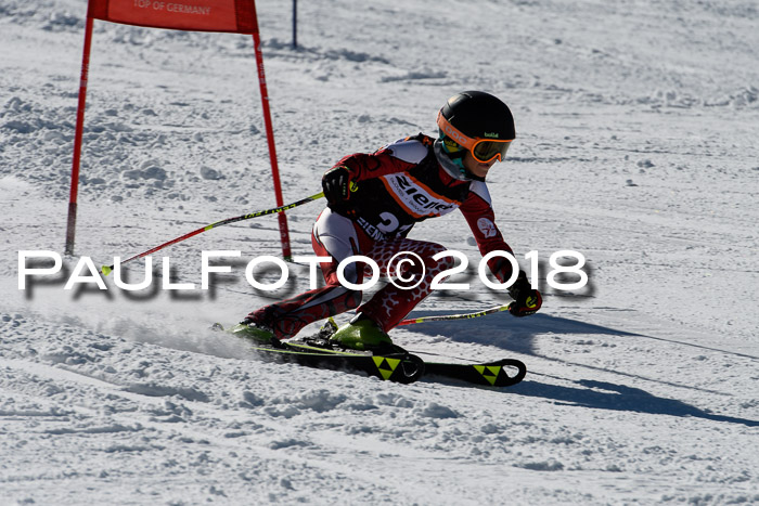 Ziener Cup WF, Finale, Quali + Parallelslalom, 24.03.2018