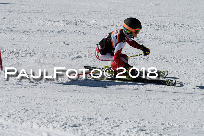 Ziener Cup WF, Finale, Quali + Parallelslalom, 24.03.2018