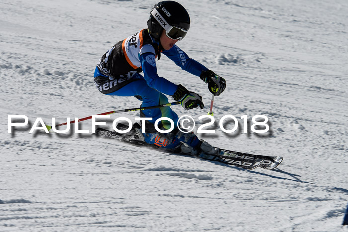 Ziener Cup WF, Finale, Quali + Parallelslalom, 24.03.2018