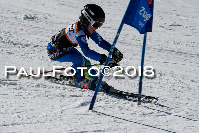Ziener Cup WF, Finale, Quali + Parallelslalom, 24.03.2018