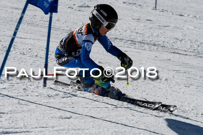 Ziener Cup WF, Finale, Quali + Parallelslalom, 24.03.2018