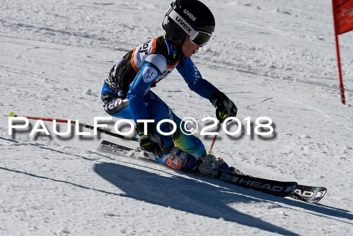 Ziener Cup WF, Finale, Quali + Parallelslalom, 24.03.2018