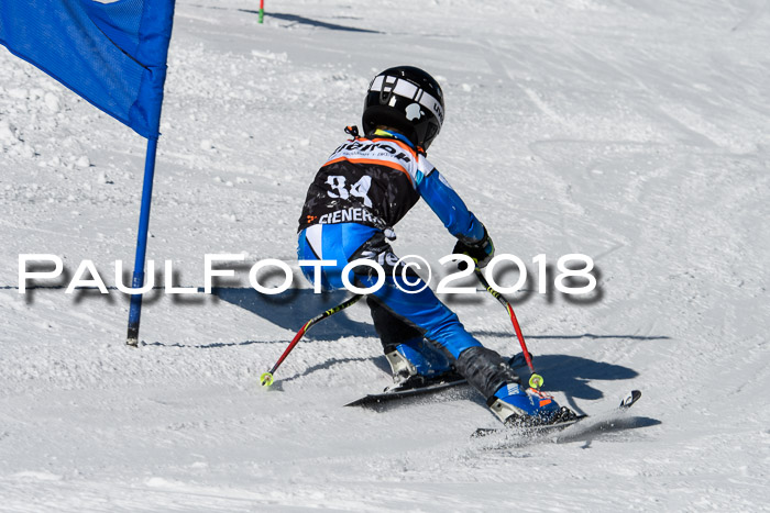 Ziener Cup WF, Finale, Quali + Parallelslalom, 24.03.2018