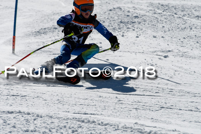 Ziener Cup WF, Finale, Quali + Parallelslalom, 24.03.2018