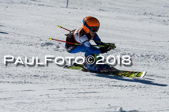 Ziener Cup WF, Finale, Quali + Parallelslalom, 24.03.2018
