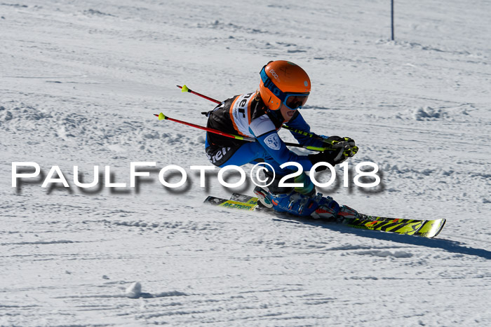 Ziener Cup WF, Finale, Quali + Parallelslalom, 24.03.2018