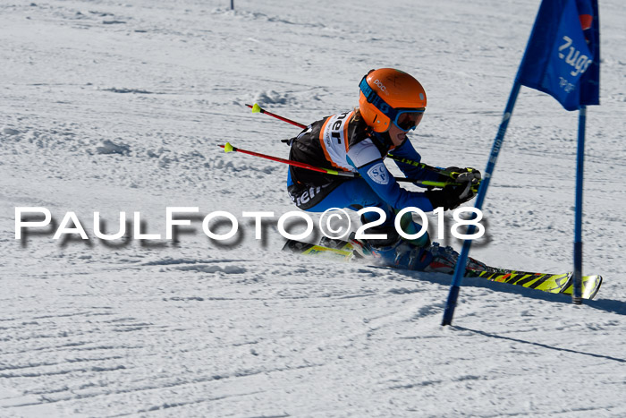 Ziener Cup WF, Finale, Quali + Parallelslalom, 24.03.2018