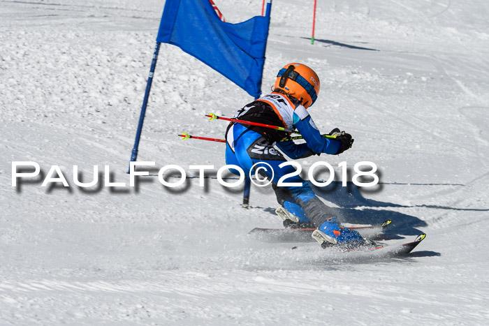 Ziener Cup WF, Finale, Quali + Parallelslalom, 24.03.2018