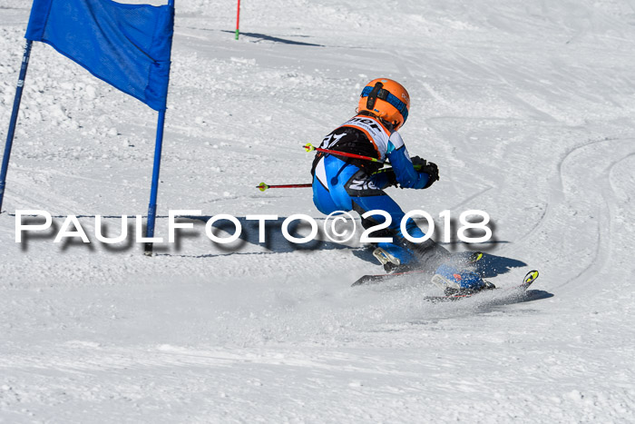 Ziener Cup WF, Finale, Quali + Parallelslalom, 24.03.2018