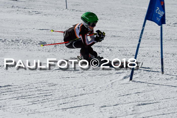 Ziener Cup WF, Finale, Quali + Parallelslalom, 24.03.2018
