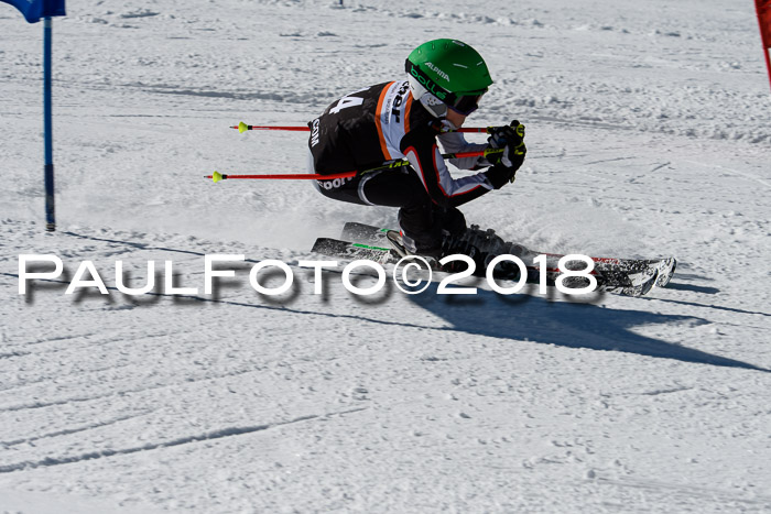 Ziener Cup WF, Finale, Quali + Parallelslalom, 24.03.2018
