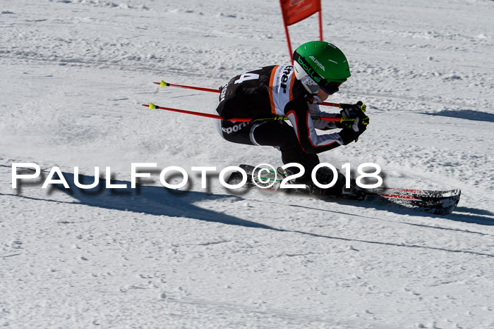 Ziener Cup WF, Finale, Quali + Parallelslalom, 24.03.2018