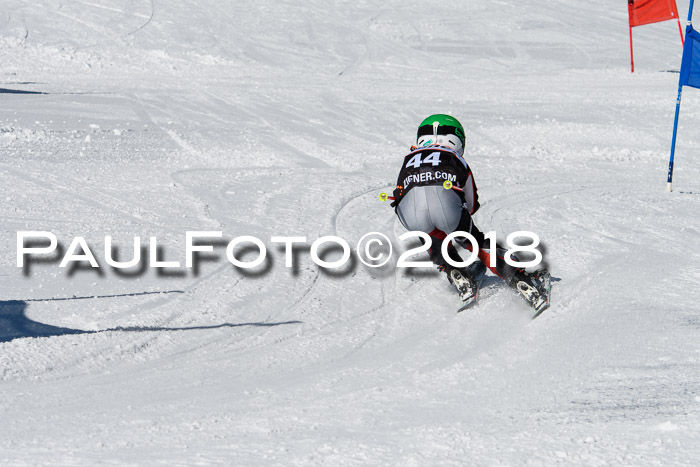 Ziener Cup WF, Finale, Quali + Parallelslalom, 24.03.2018