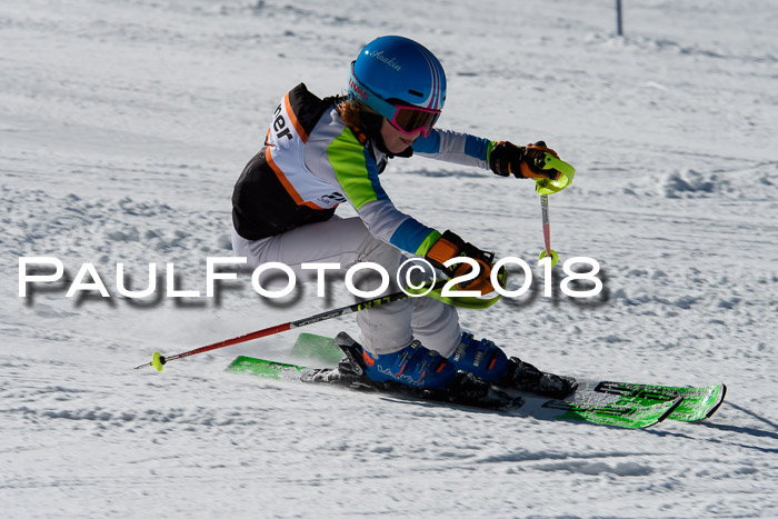 Ziener Cup WF, Finale, Quali + Parallelslalom, 24.03.2018