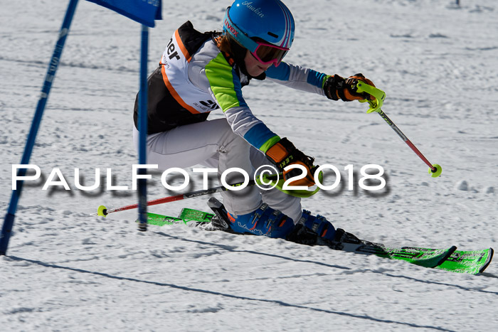 Ziener Cup WF, Finale, Quali + Parallelslalom, 24.03.2018