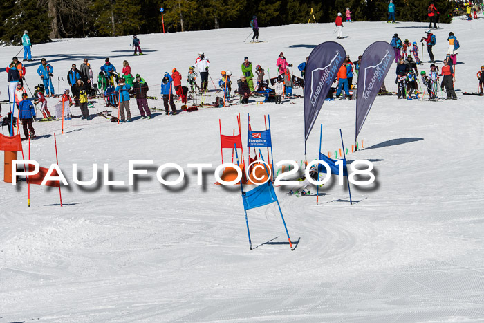 Ziener Cup WF, Finale, Quali + Parallelslalom, 24.03.2018