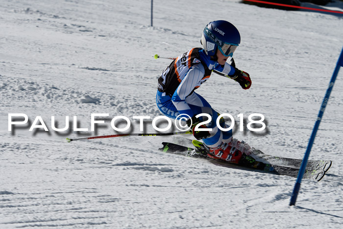 Ziener Cup WF, Finale, Quali + Parallelslalom, 24.03.2018