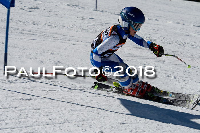 Ziener Cup WF, Finale, Quali + Parallelslalom, 24.03.2018
