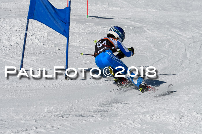 Ziener Cup WF, Finale, Quali + Parallelslalom, 24.03.2018
