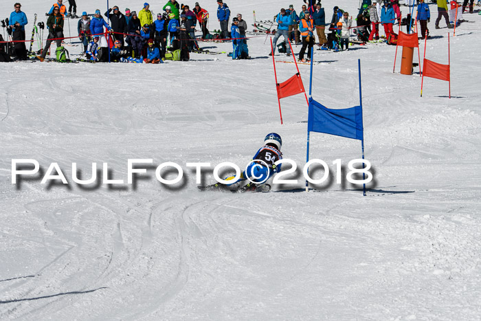Ziener Cup WF, Finale, Quali + Parallelslalom, 24.03.2018