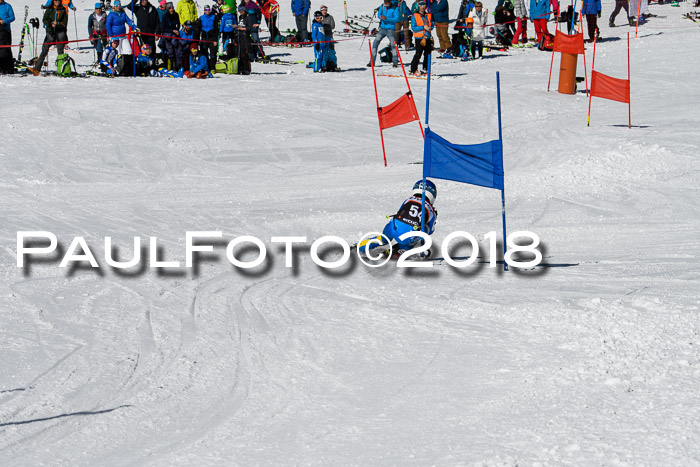 Ziener Cup WF, Finale, Quali + Parallelslalom, 24.03.2018
