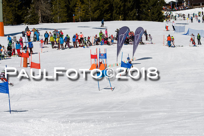 Ziener Cup WF, Finale, Quali + Parallelslalom, 24.03.2018
