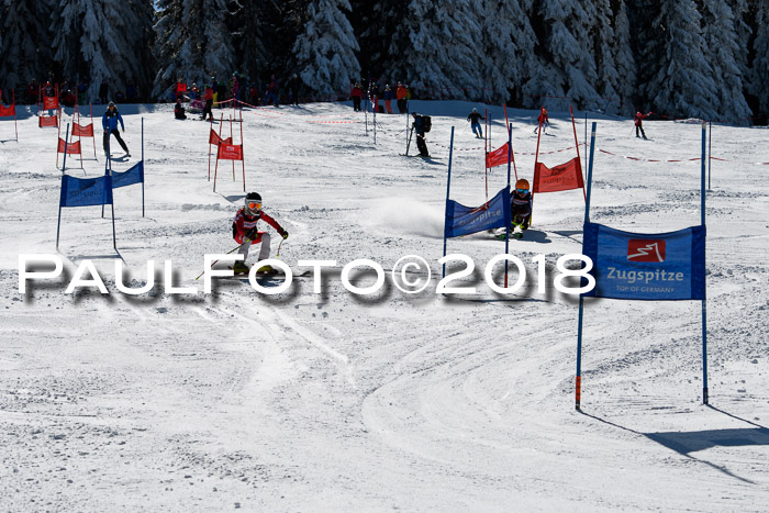 Ziener Cup WF, Finale, Quali + Parallelslalom, 24.03.2018