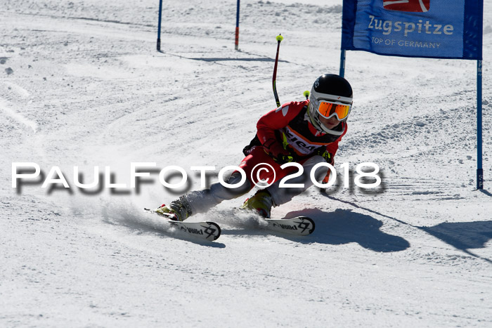 Ziener Cup WF, Finale, Quali + Parallelslalom, 24.03.2018
