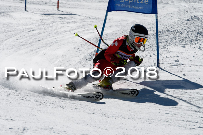 Ziener Cup WF, Finale, Quali + Parallelslalom, 24.03.2018
