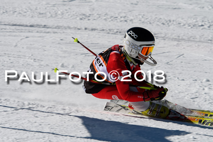 Ziener Cup WF, Finale, Quali + Parallelslalom, 24.03.2018