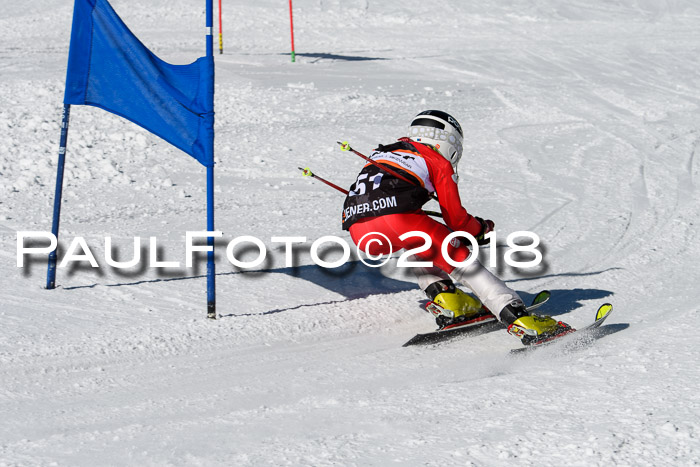 Ziener Cup WF, Finale, Quali + Parallelslalom, 24.03.2018