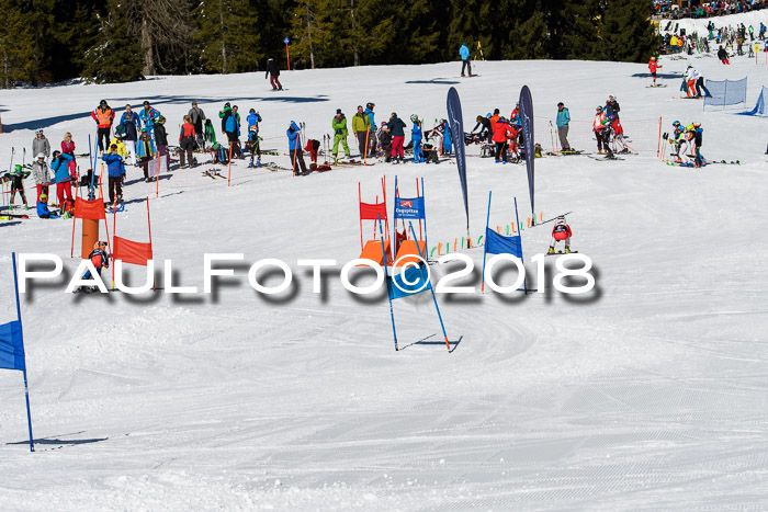 Ziener Cup WF, Finale, Quali + Parallelslalom, 24.03.2018
