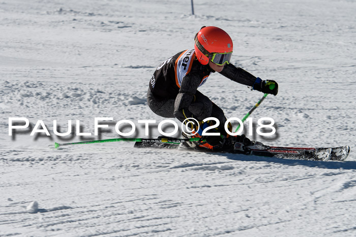 Ziener Cup WF, Finale, Quali + Parallelslalom, 24.03.2018