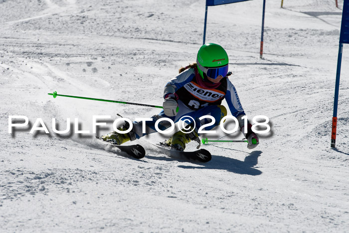 Ziener Cup WF, Finale, Quali + Parallelslalom, 24.03.2018