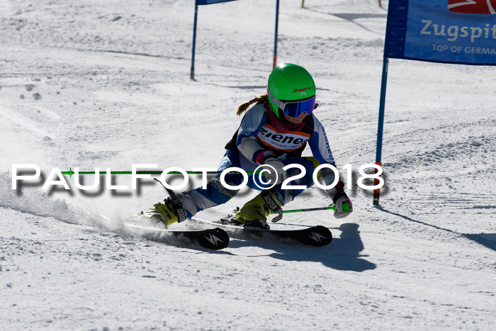 Ziener Cup WF, Finale, Quali + Parallelslalom, 24.03.2018