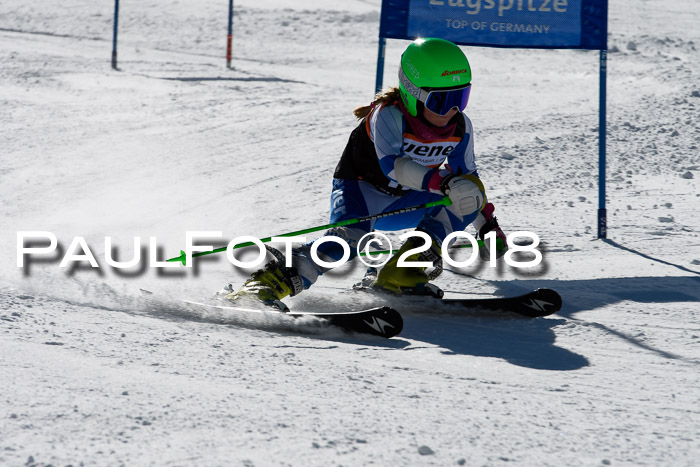 Ziener Cup WF, Finale, Quali + Parallelslalom, 24.03.2018