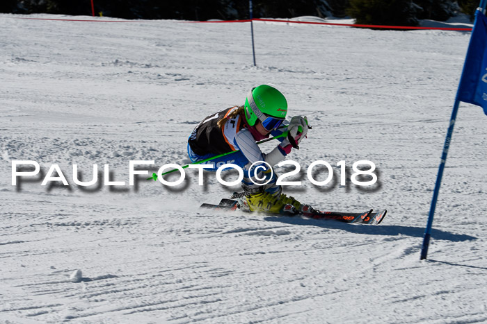 Ziener Cup WF, Finale, Quali + Parallelslalom, 24.03.2018