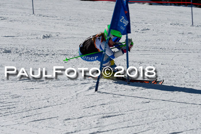 Ziener Cup WF, Finale, Quali + Parallelslalom, 24.03.2018