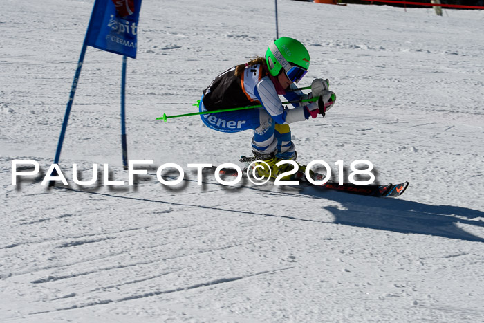 Ziener Cup WF, Finale, Quali + Parallelslalom, 24.03.2018