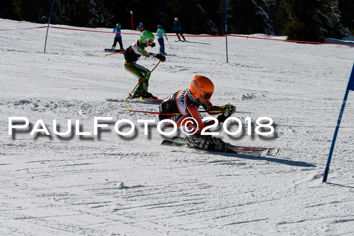 Ziener Cup WF, Finale, Quali + Parallelslalom, 24.03.2018