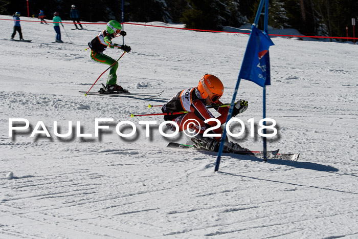 Ziener Cup WF, Finale, Quali + Parallelslalom, 24.03.2018
