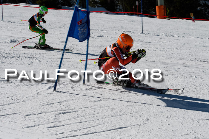 Ziener Cup WF, Finale, Quali + Parallelslalom, 24.03.2018