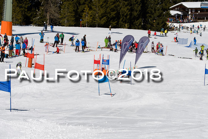 Ziener Cup WF, Finale, Quali + Parallelslalom, 24.03.2018