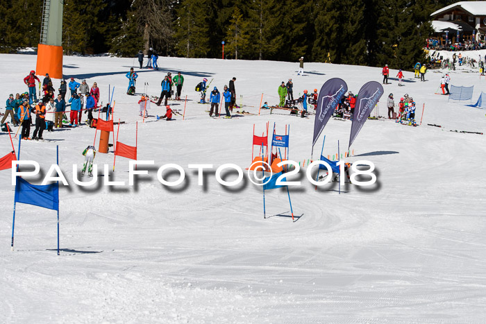 Ziener Cup WF, Finale, Quali + Parallelslalom, 24.03.2018