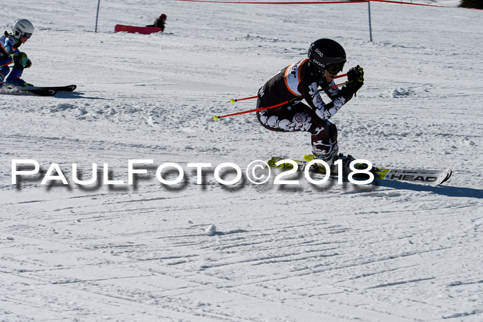 Ziener Cup WF, Finale, Quali + Parallelslalom, 24.03.2018