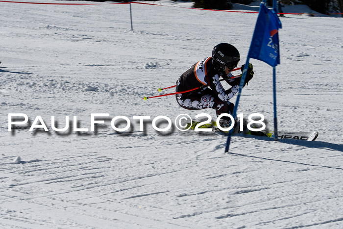 Ziener Cup WF, Finale, Quali + Parallelslalom, 24.03.2018